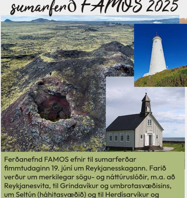 Reykjanesskagi – Sumarferð FAMOS 2025